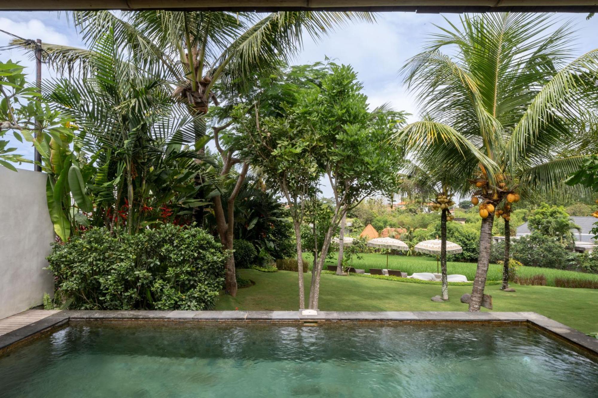 Premadhan Cottage Canggu Ngoại thất bức ảnh